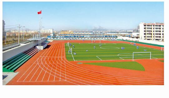 pu全塑防滑型塑胶场地